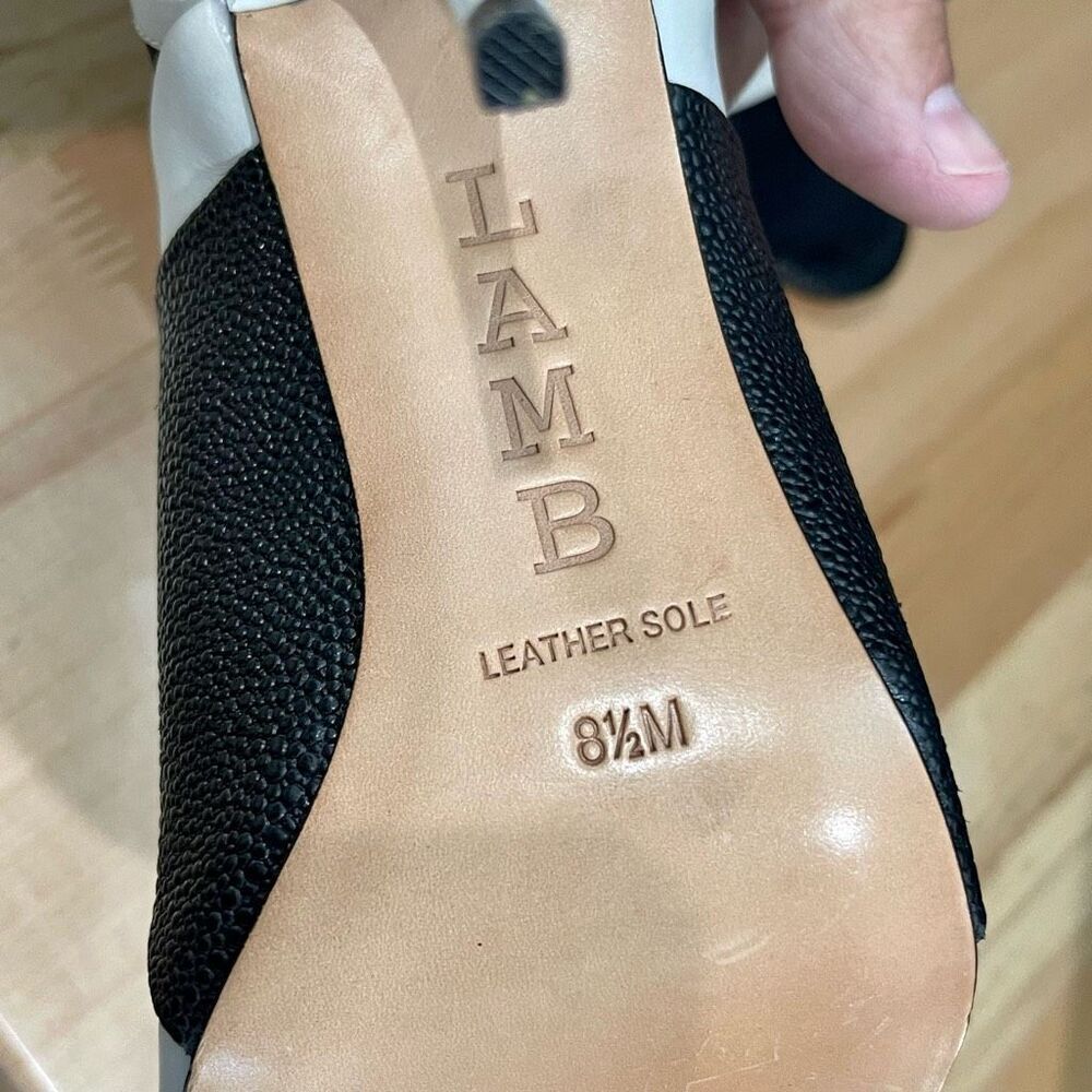 L.A.M.B. heels. - Picture 8 of 8